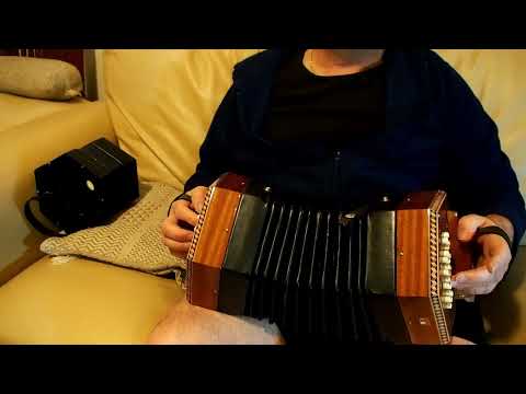 Stagi & Troubadour (Hayden/Wicky) Duet Concertina sound comparison