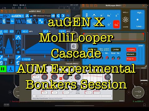 MolliLooper - auGEN X - Cascade - AUM Experimental Bonkers Session - iPad