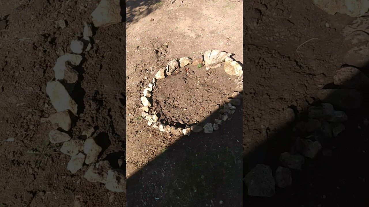 Pumpkin patch vlog number2