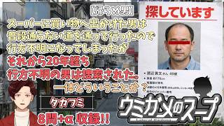 【謎解き】参加型おもしろウミガメのスープ！！視聴者オリジナル水平思考クイズ】《亀のお汁 vol.482》
