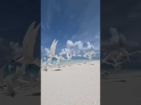 beautiful place #shorts #beautiful #subscribe #travelwithubaid