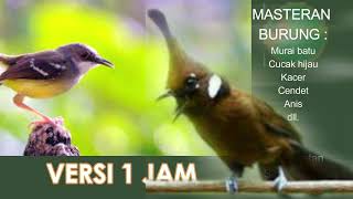Download lagu CILILIN VS CIBLEK FULL 1 JAM #masteranburung #burunggacor mp3