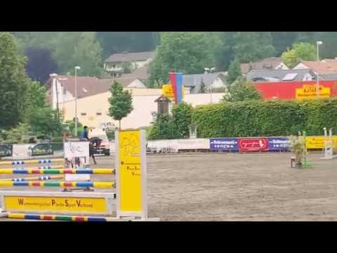Donna Doria R / Springpferde A / Heidenheim 2016