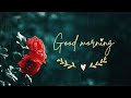 Life Is Short New Good Morning WhatsApp Status Beautiful Ringtone Good Morning Status Video
