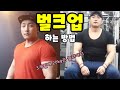 벌크업에 관한 정확한 진실을 알려드립니다!