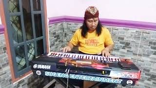 Download lagu SEJUTA LUKA Cipt. Udin Jackta dipopulerkan oleh Rita Sugiarto Vokalis  Nanun  mp3