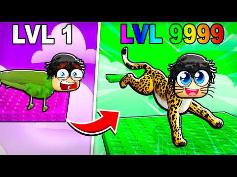 JUMP EVOLVE TOWER…