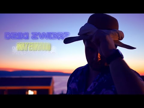 MATEUNIOOO -  DZIK! ZWI3RZ (Official Video)