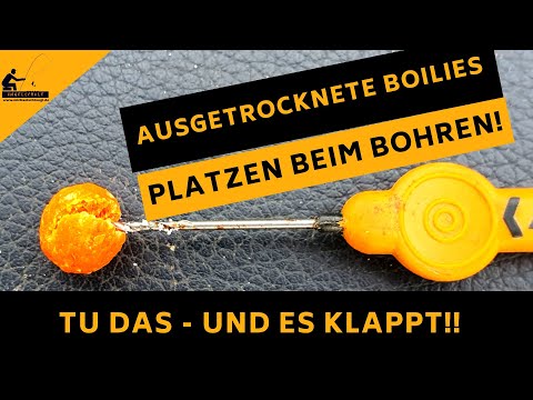 Tu DAS - SO platzen Boilies & Dumbbells nicht mehr auf!