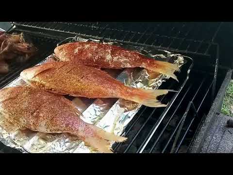 “Red Snapper on the Grill – Caribbean Style Perfection!”