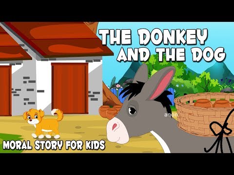 The Donkey And The Dog