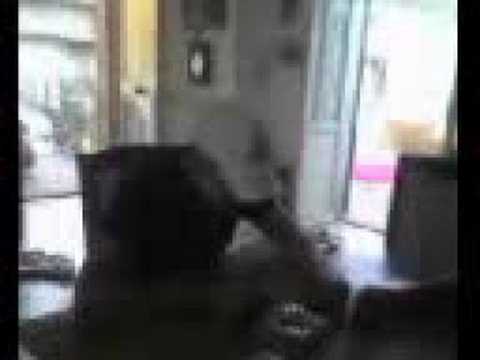 enzo caradonna e mauro nardi