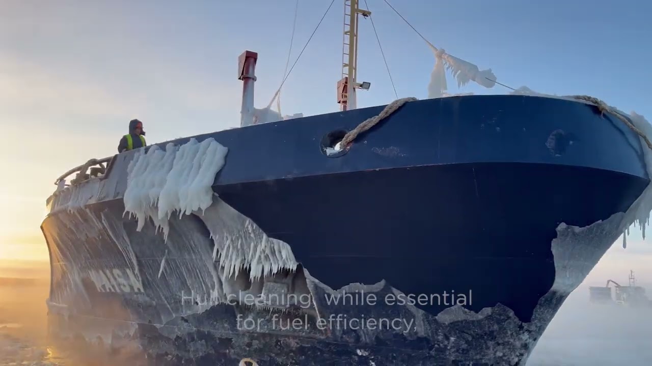 Environmental Port Index - Overview