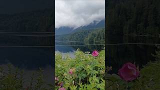 Download lagu West Lion Viewpoint Vancouver mp3