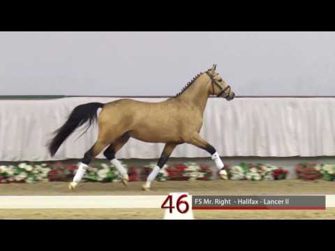 46 FS Mr. Right - Halifax - Lancer II