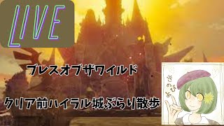 7年前に始めたブレワイをいい加減クリアしたいので修行する【BoW】