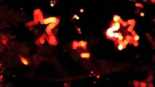 Christmas Lights 2010