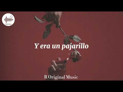 Pajarillo ~ El cartel de Nuevo León [LETRA]