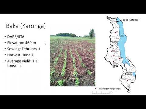 Pan-African Soybean Variety Trial Malawi: Preliminary Data Analysis Webinar