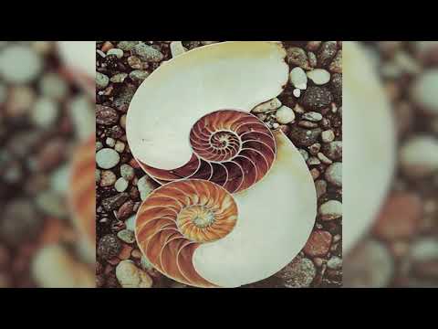 Joseph Goldstein – Insight Hour – Ep. 23 – Liberation Through Non-Clinging