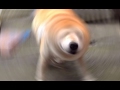 POWERING UP R RR R R R RR R RR RRRRRR RRREEEE