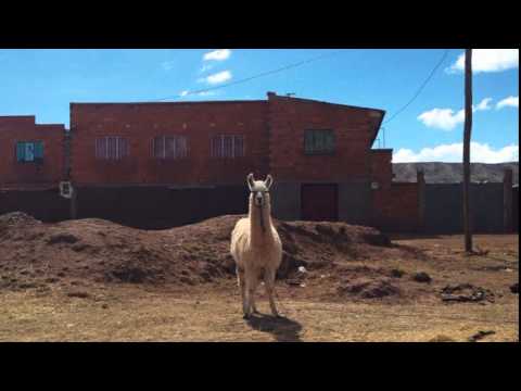 Artful Dodger feat Robbie Craig - Woman Trouble (Sunships Bombastic Remix)