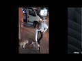 Man Breaks Up Fighting Cats