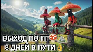 Выход в Румынию по ПГ 🍄⛰️ |8 дней в горах👌