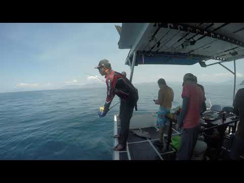 Takamitechnos 626 LM  x Shimano Torsa 16 VS 19kg Amberjack