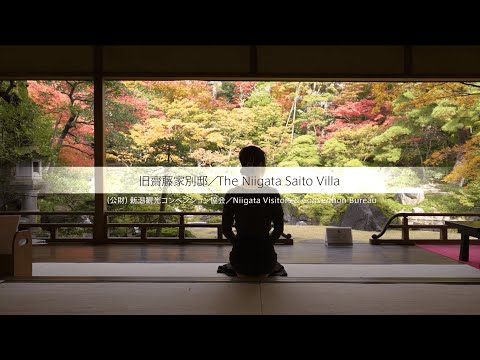 【新潟観光】赤や黄色のコントラストが美しい庭園の紅葉　豪商の別荘「旧齋藤家別邸」