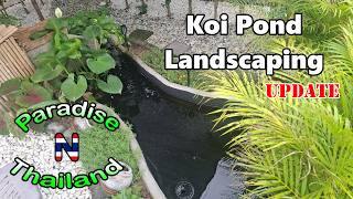 Koi Pond Landscaping - Update
