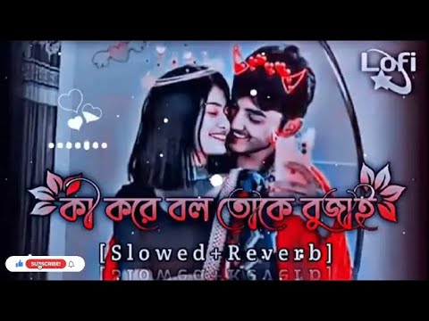 Toke Onek Bhalobashi   Love romantic  Slowed Reverb   Shakib Khan   Lofi song #lofi #lofimusic #new
