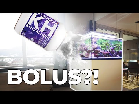 What did BOLUS do to my reef?!