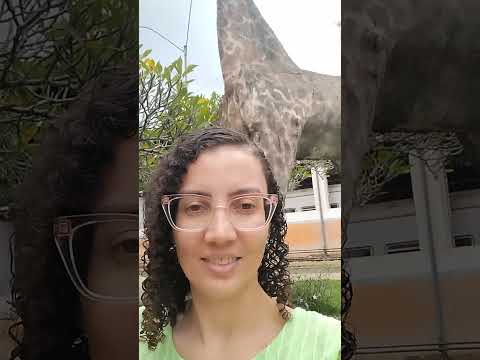 Estátua de girafa 🦒 em Recreio Minas Gerais