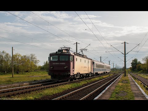 Concert de goarne #1