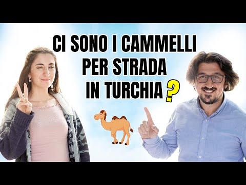 Ci Sono i Cammelli Per Strada in Turchia?