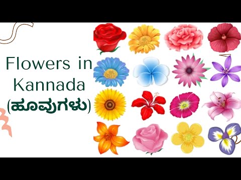 Flower Name In Kannada   Flower In Kannada And English | Kids Learning videos