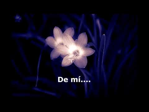 Flor da noite_Nana Caymmi (TRADUCIDA AL ESPAÑOL)