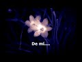 Flor da noite_Nana Caymmi (TRADUCIDA AL ESPAÑOL)