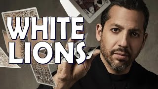 Deck Review - White Lion Tour Edition Playing Cards David Blaine