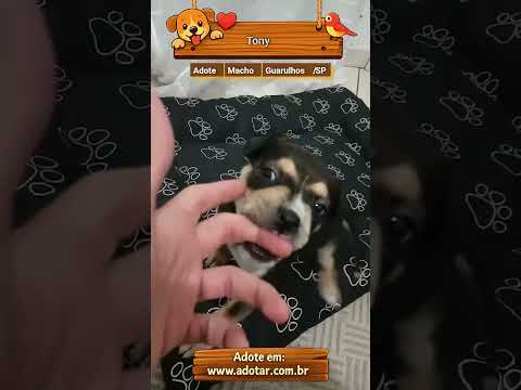 Vídeo de Tony