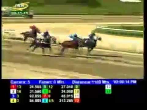 LA RINCONADA 5 CARRERA, DOMINGO 08 DE NOVIEMBRE DEL 2015