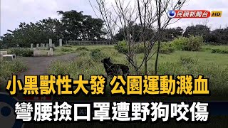[問題] 火車站橋下的野狗能叫動保處抓嗎？