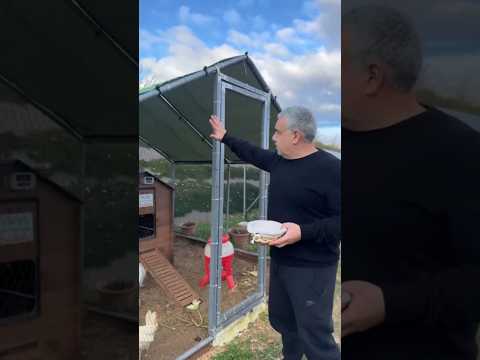 IL NOSTRO RECINTO ANTI VOLPE - Fatto in Casa da Benedetta