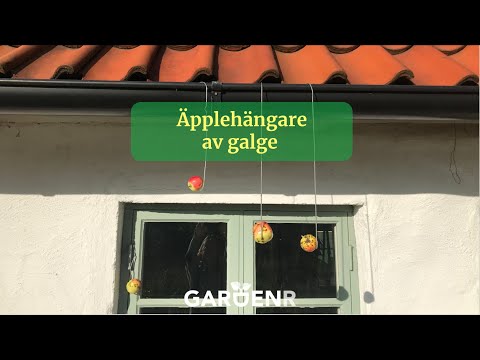 Äpplehängare av galge - Trädgårdshacks med GardenR