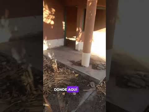 SANTI TERROR 🤡🤯👹 PARTE 2 APARICION DEL PAYASO 