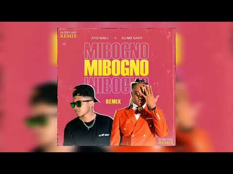 AYO NAEJ X DJ MR GARY   -  Mibogno REMIX