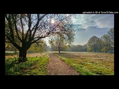 Kaygee The Vibe Feat. Busi N - Glorious Goddess (DJMreja & Neuvikal Soule Remix)