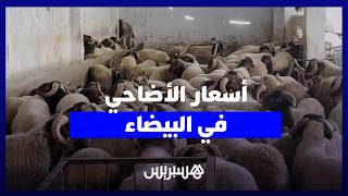 وفرة في القطيع و"غلاء طفيف".. كسابة: العلف هو السبب والسلعة موجودة. thumbnail