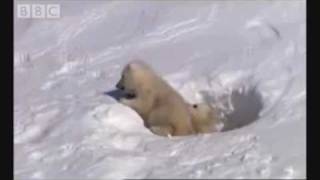 Le orme - Uno sguardo verso il cielo